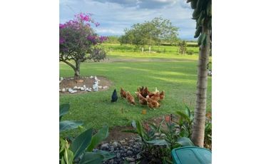 Finca para la venta en el sector del Ingenio Risaralda, La Virginia