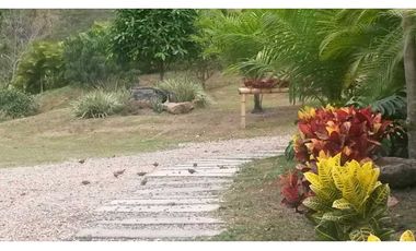 Venta Finca Nocaima Parte Alta 10.819 M2 cerca Villeta Cundinamarca.