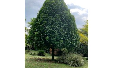 Venta Finca Nocaima Parte Alta 10.819 M2 cerca Villeta Cundinamarca.