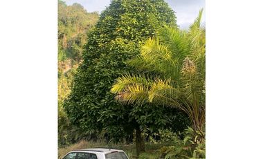Venta Finca Nocaima Parte Alta 10.819 M2 cerca Villeta Cundinamarca.