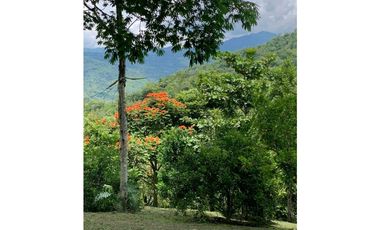 Venta Finca Nocaima Parte Alta 10.819 M2 cerca Villeta Cundinamarca.