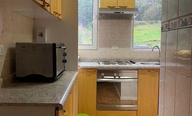 Departamento en venta en FRUTILLAR