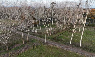 Parcela en venta en MARIQUINA