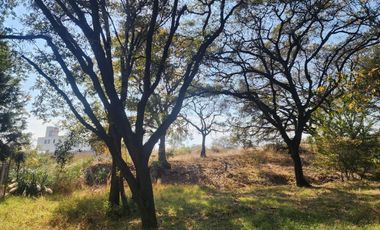 SE VENDE EXCELENTE TERRENO PASEOS DE SAYAVEDRA