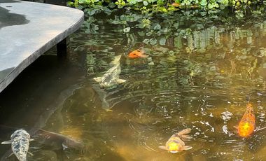 Extraordinaria casa en venta