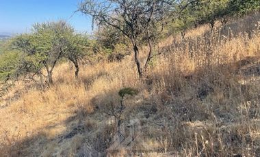 Parcela en Venta en Cerro Cristal