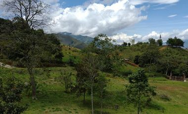 VENTA de FINCAS en COPACABANA
