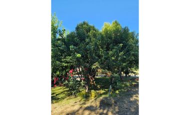 SE VENDE TERRENO CON CASA SECTOR RURAL SAN FRANCISCO MOSTAZAL