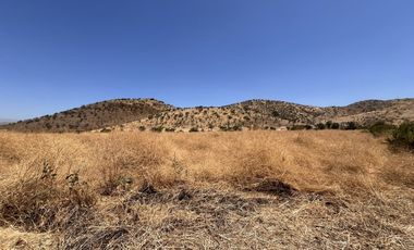 SE VENDE SITIO 200.000 M2