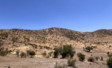 SE VENDE SITIO 200.000 M2