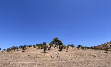 SE VENDE SITIO 200.000 M2