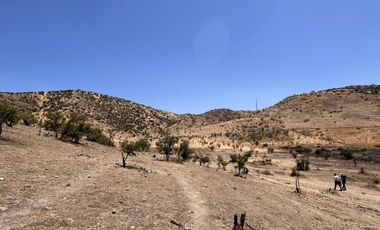 SE VENDE SITIO 200.000 M2