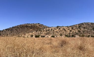 SE VENDE SITIO 200.000 M2