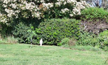 Casa en san isidro chico 4 dormitorios