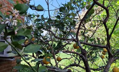 Casa en san isidro chico 4 dormitorios