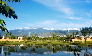 Vendo casa tipo campestre en condominio Tangelos Alfaguara Jamundí