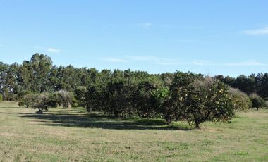 Lote en Club de Campo Azahares Del Paraná
