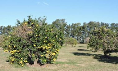 Lote en Club de Campo Azahares Del Paraná