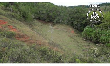 ref 979a el retiro/pavas/vendo lote campestre