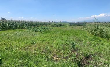 TERRENO EN VENTA EN XOXTLA