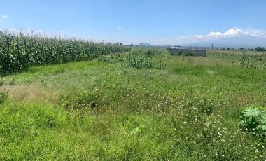 TERRENO EN VENTA EN XOXTLA