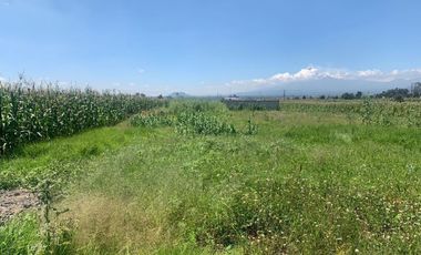 TERRENO EN VENTA EN XOXTLA