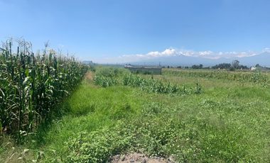 TERRENO EN VENTA EN XOXTLA