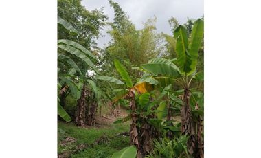 VENTA TERRENO NEGOCIABLE RIO HATO