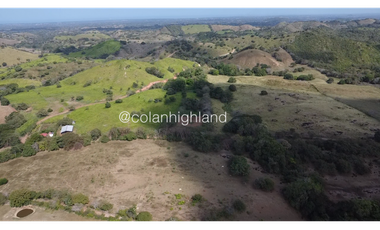 Se Vende Finca Ganadera en Llano Largo, Los Santos