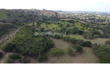 Se Vende Finca Ganadera en Llano Largo, Los Santos