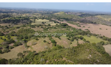 Se Vende Finca Ganadera en Llano Largo, Los Santos