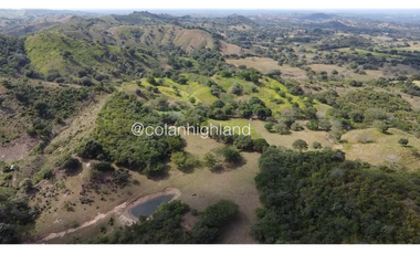 Se Vende Finca Ganadera en Llano Largo, Los Santos
