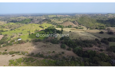 Se Vende Finca Ganadera en Llano Largo, Los Santos