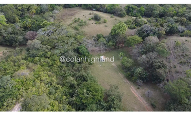 Se Vende Finca Ganadera en Llano Largo, Los Santos