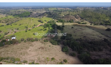 Se Vende Finca Ganadera en Llano Largo, Los Santos