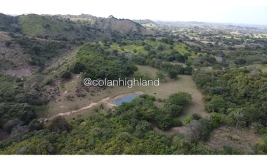 Se Vende Finca Ganadera en Llano Largo, Los Santos
