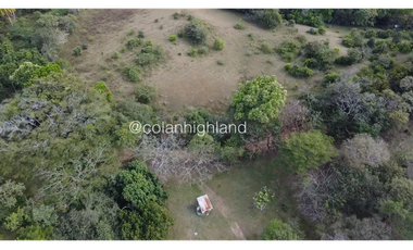 Se Vende Finca Ganadera en Llano Largo, Los Santos