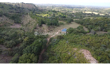 Se Vende Finca Ganadera en Llano Largo, Los Santos