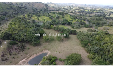 Se Vende Finca Ganadera en Llano Largo, Los Santos