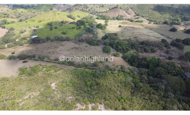 Se Vende Finca Ganadera en Llano Largo, Los Santos
