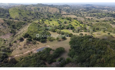 Se Vende Finca Ganadera en Llano Largo, Los Santos