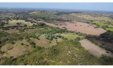 Se Vende Finca Ganadera en Llano Largo, Los Santos