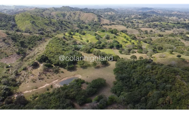 Se Vende Finca Ganadera en Llano Largo, Los Santos