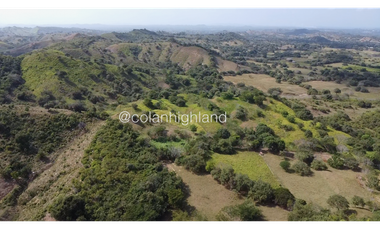 Se Vende Finca Ganadera en Llano Largo, Los Santos