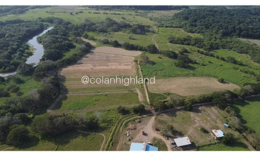 Se Vende Finca de 174.4 Hectareas en La Villa de Los Santos