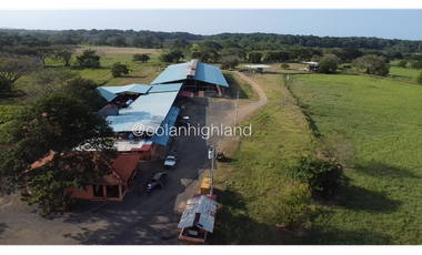 Se Vende Finca de 174.4 Hectareas en La Villa de Los Santos