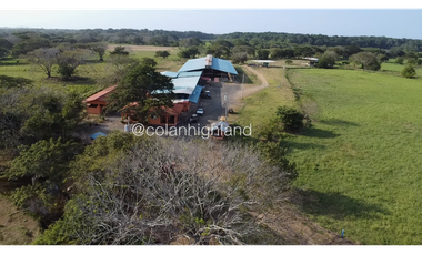 Se Vende Finca de 174.4 Hectareas en La Villa de Los Santos