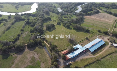 Se Vende Finca de 174.4 Hectareas en La Villa de Los Santos