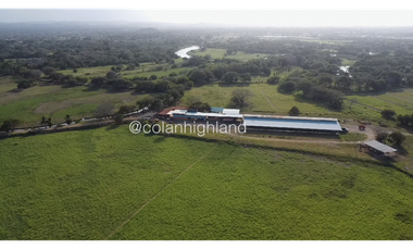 Se Vende Finca de 174.4 Hectareas en La Villa de Los Santos