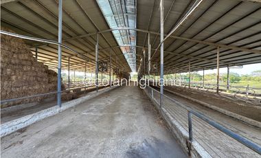 Se Vende Finca de 174.4 Hectareas en La Villa de Los Santos
